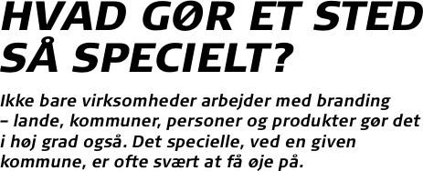 HVAD GØR ET STED SÅ